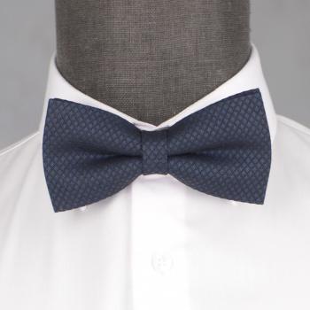 Бабочка мужская 0006