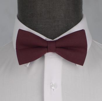 Бабочка мужская 0004