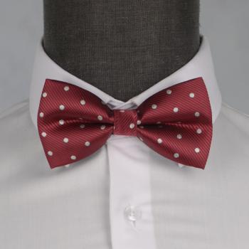 Бабочка мужская 0190