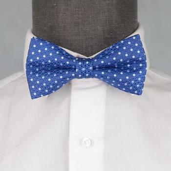 Бабочка мужская 0081