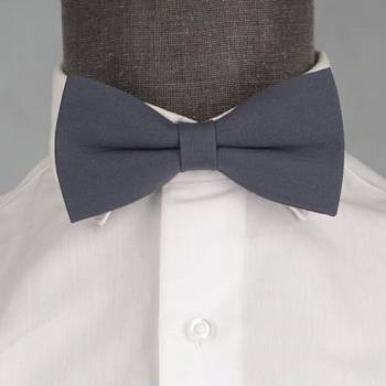 Бабочка мужская 0167