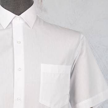 Рубашка мужская Grossir 1001G к/р