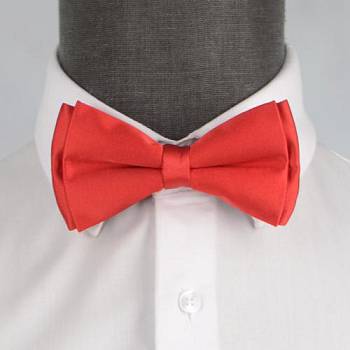 Бабочка мужская с платком 0016-1